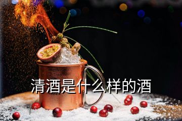 清酒是什么样的酒