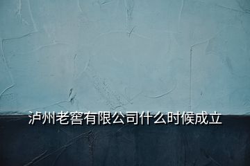 泸州老窖有限公司什么时候成立