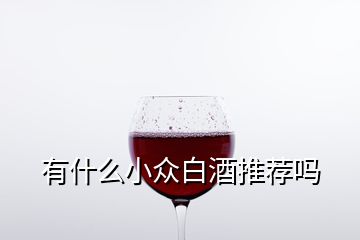 有什么小众白酒推荐吗