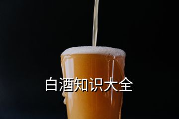 白酒知识大全