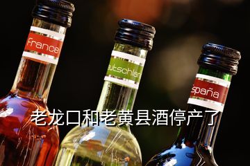 老龙口和老黄县酒停产了