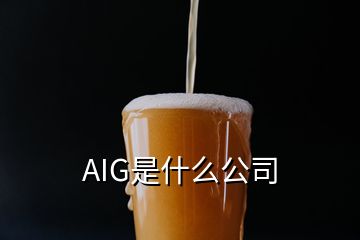 AIG是什么公司