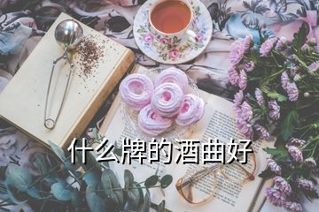 什么牌的酒曲好