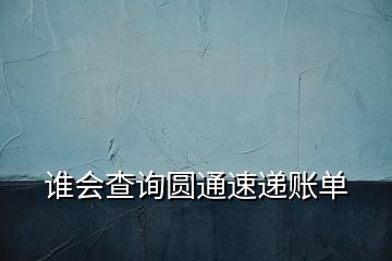 谁会查询圆通速递账单