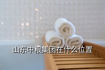 山东中粮集团在什么位置