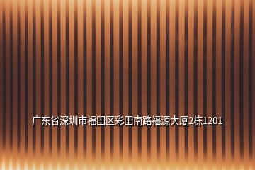 广东省深圳市福田区彩田南路福源大厦2栋1201