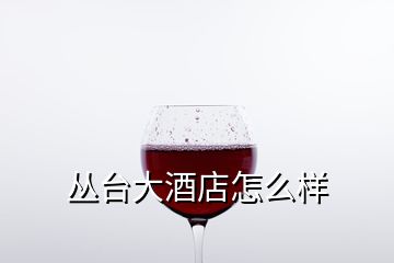 丛台大酒店怎么样