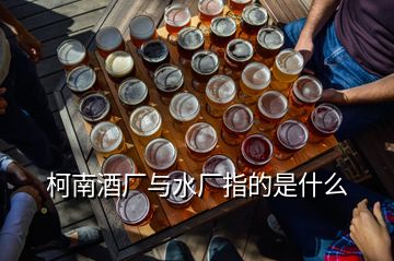 柯南酒厂与水厂指的是什么