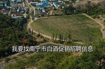 我要找南宁市白酒促销招聘信息