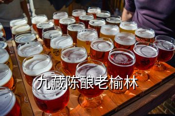 九藏陈酿老榆林