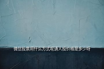 微信投票用什么方式呢请人投价格是多少呀