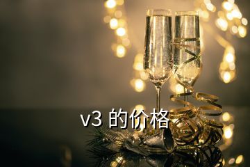 v3 的价格