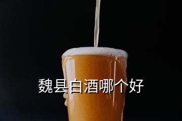 魏县白酒哪个好