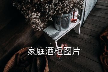 家庭酒柜图片