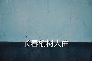 长春榆树大曲