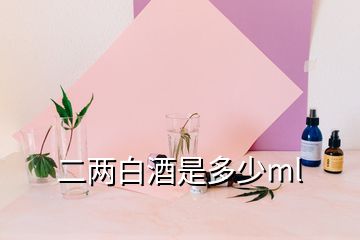 二两白酒是多少ml