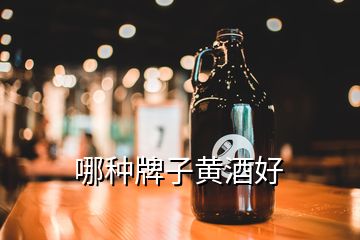 哪种牌子黄酒好