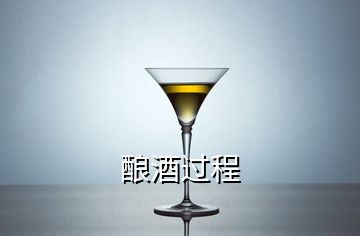 酿酒过程