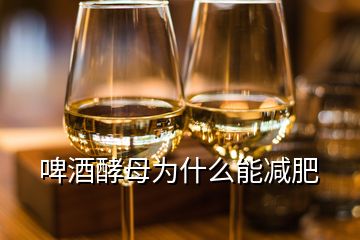 啤酒酵母为什么能减肥