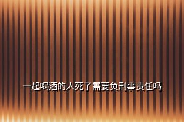 一起喝酒的人死了需要负刑事责任吗