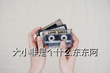 大小非是个什么东东阿