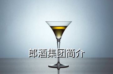 郎酒集团简介