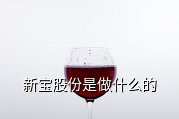 新宝股份是做什么的