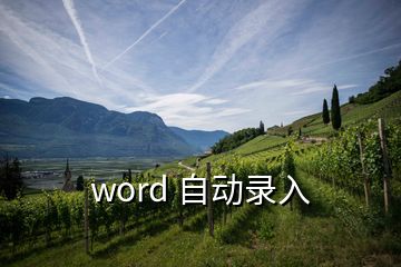 word 自动录入