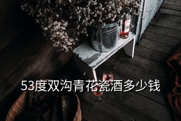 53度双沟青花瓷酒多少钱