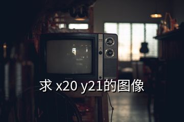 求 x20 y21的图像