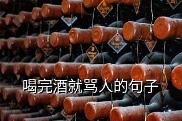 喝完酒就骂人的句子