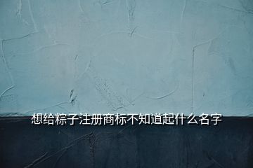 想给粽子注册商标不知道起什么名字