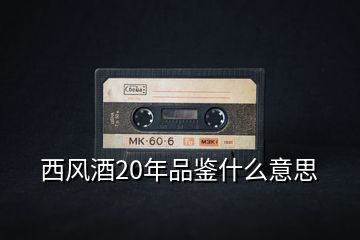 西风酒20年品鉴什么意思