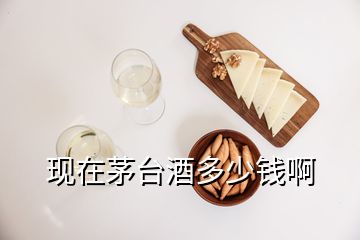 现在茅台酒多少钱啊