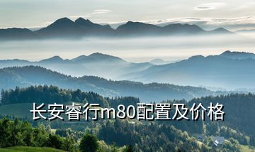 长安睿行m80配置及价格