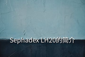 Sephadex LH20的简介