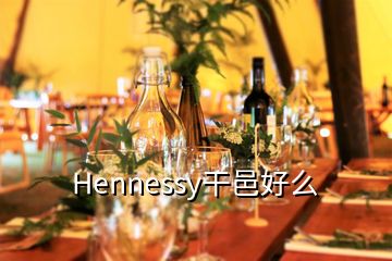 Hennessy干邑好么