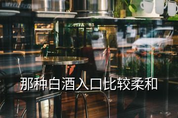 那种白酒入口比较柔和