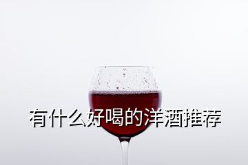 有什么好喝的洋酒推荐