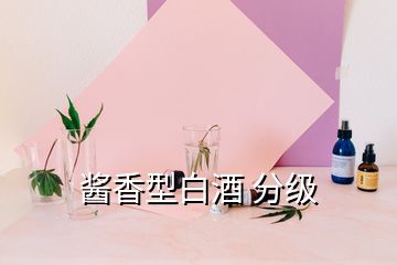 酱香型白酒 分级