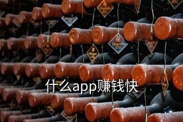 什么app赚钱快