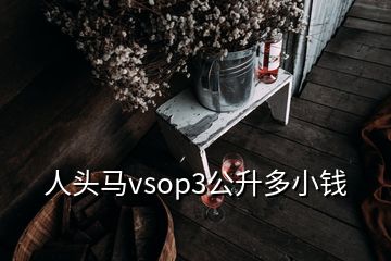 人头马vsop3公升多小钱