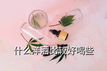 什么洋酒比较好喝些