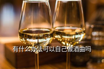 有什么办法可以自己做酒曲吗