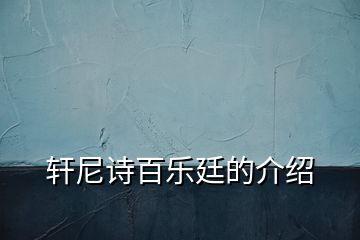 轩尼诗百乐廷的介绍