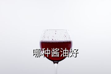 哪种酱油好