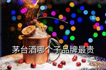 茅台酒哪个子品牌最贵