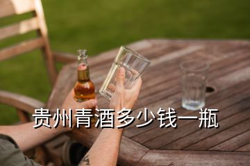 贵州青酒多少钱一瓶