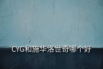 CYG和施华洛世奇哪个好