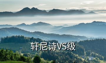 轩尼诗VS级